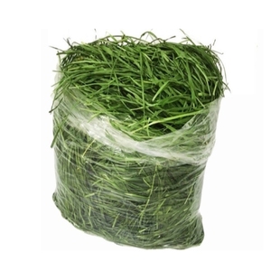 24年新国产绿燕麦草澳麦牧草兔子龙猫豚鼠毛重1KG代替提摩西干草