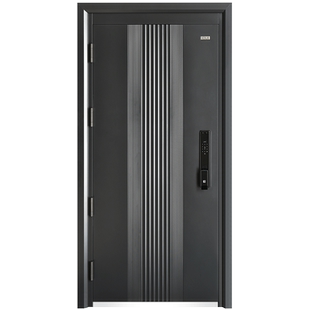 神将甲级防盗门进户门安全门极简家用入户门指纹锁子母门高中尚