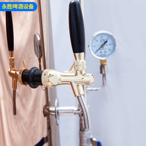 精酿鲜啤制冷储酒罐设备 餐饮行业用精酿啤酒机自酿啤酒设备