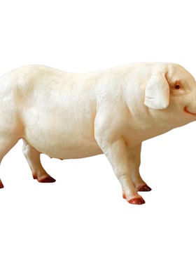 户外仿真小猪摆件多款可选