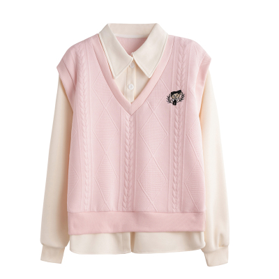 秋冬新款小个子初中生百搭卫衣女