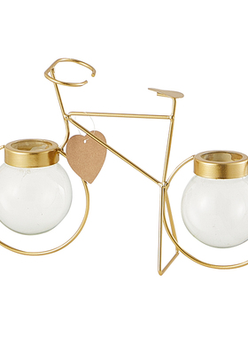 北欧轻奢风创意自行车玻璃花瓶