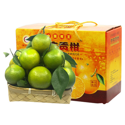 正宗现摘德庆皇帝柑贡柑新鲜水果精品皇帝柑原产地礼盒装直发新鲜
