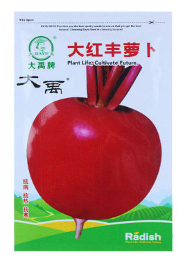 大红丰萝卜种子东北特大高产萝卜