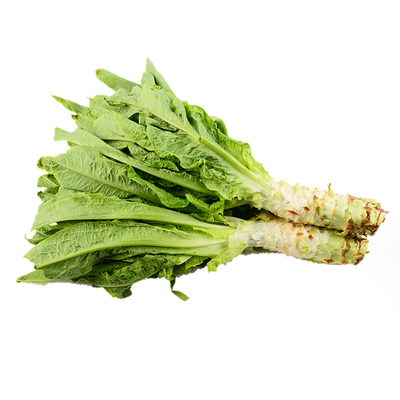 辉煌虫虫莴笋鲜嫩脆爽