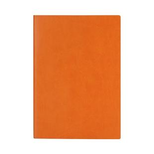 A5加厚笔记本子会议记录本定制可印logo简约潮流软抄仿皮ins本子文具商务办公会议通用记事本工厂批发道林纸