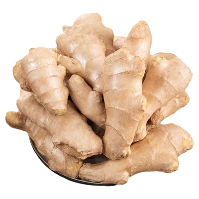 山东大姜优质生姜老姜月子姜风干姜块精品老生姜大黄姜老黄姜包邮