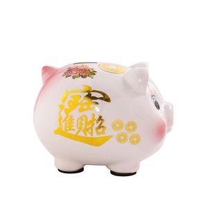 2024新款储蓄罐存钱罐只进不出不可取家用女大号陶瓷猪摆件礼品