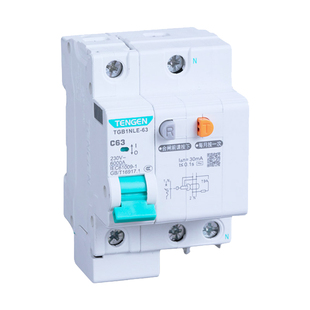 天正TENGEN漏电开关漏保TGB1NLE-32 63空气开关带漏电保护2P 家用