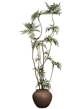 仿真绿植十大功劳落地假树植物