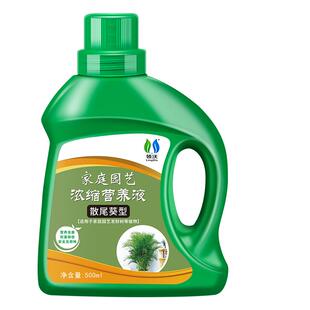 散尾葵专用营养液室内盆栽通用型治叶子发黄枯叶黄凤尾竹夏威夷竹