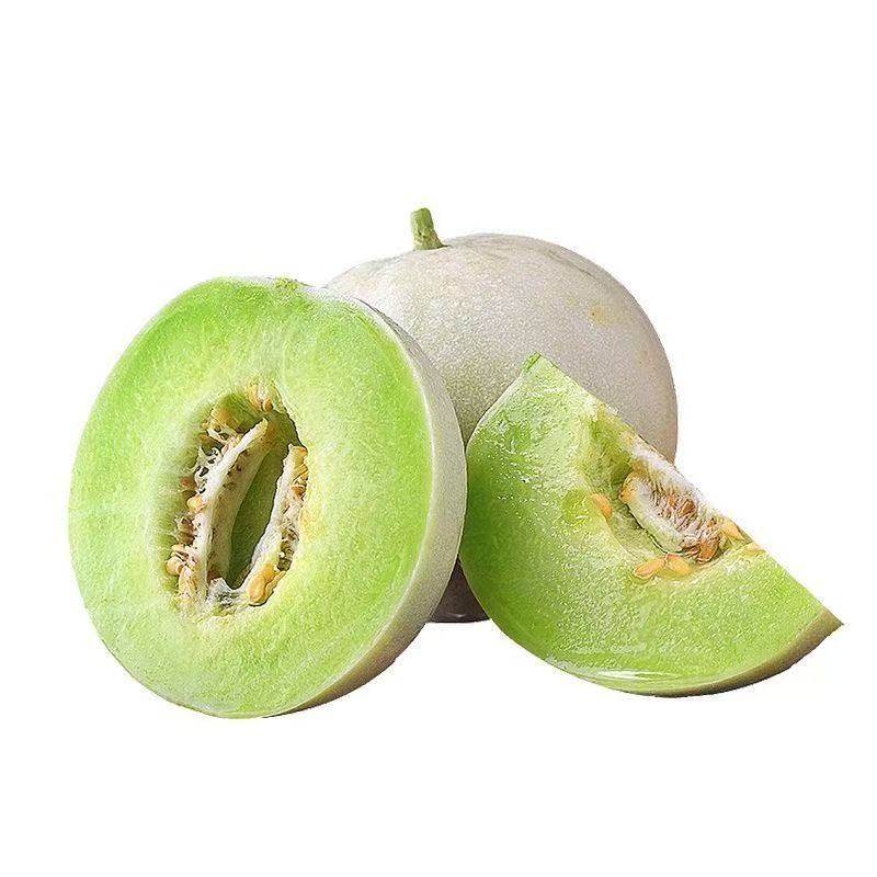 山东玉菇甜瓜皮薄冰淇淋口感香瓜