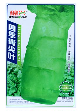 莴笋种子春秋播种耐热耐寒味清香