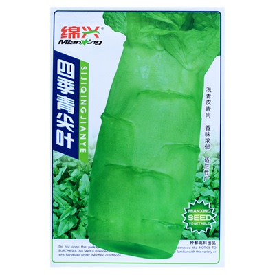 莴笋种子春秋播种耐热耐寒味清香