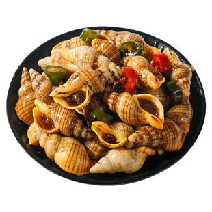 青岛麻辣白玉螺即食罐装熟食捞汁小海鲜罐头香辣海钉锥螺丝钉螺锥