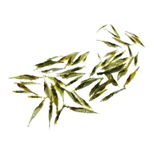 鱼官儿订水黑壳虾除藻虾吃藻工具虾樱花虾米虾乌龟饲料活体鱼食