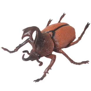 仿真大雨伞竖角兜虫知了蟋蟀模型独角仙儿童玩具蜉蝣昆虫甲虫标本