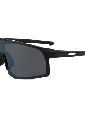 登山滑雪护目镜男女户外骑行防风