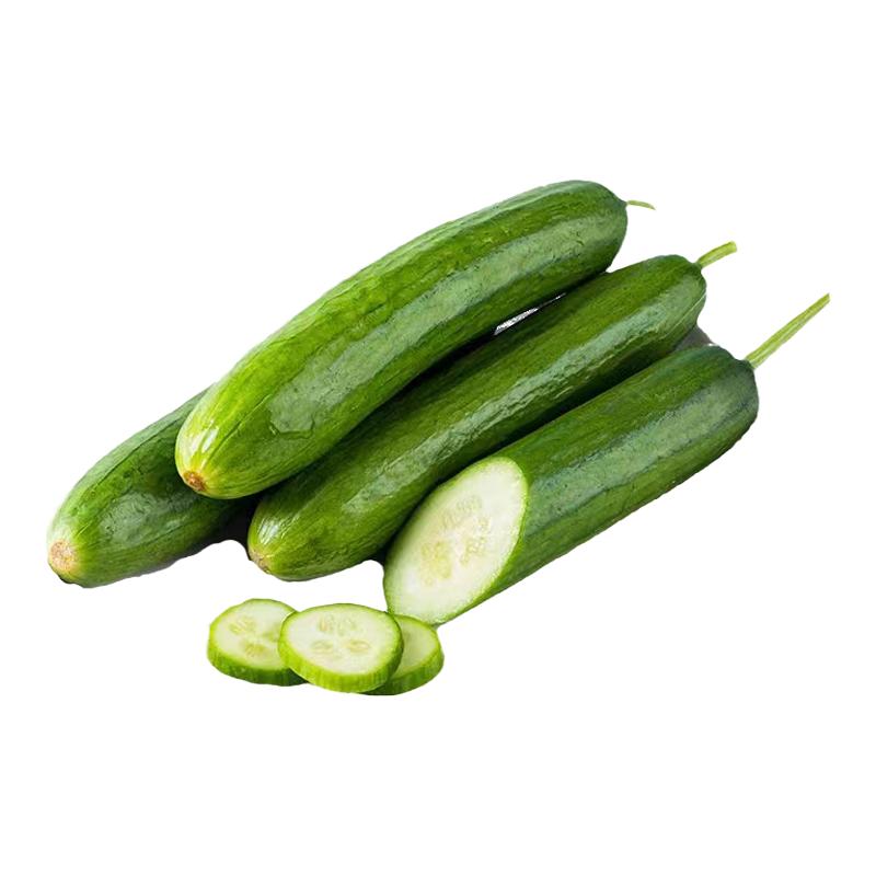 燎原水果黄瓜无刺小黄瓜青瓜绿色蔬菜生吃脆新鲜即食孕妇宝宝包邮