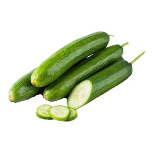 燎原水果黄瓜无刺小黄瓜青瓜绿色蔬菜生吃脆新鲜孕妇宝宝3斤包邮