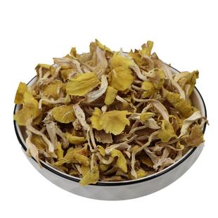 东北特产榆黄蘑长白山小黄蘑鸡油菌黄金菇无硫干货蘑菇煲汤食用菌