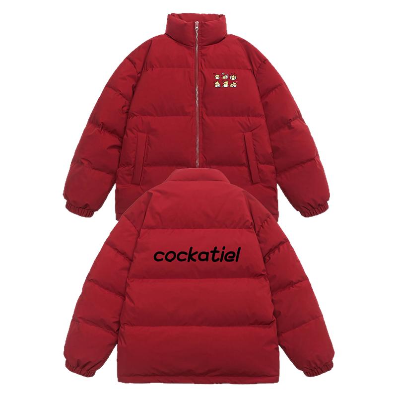 休闲立领冬季三防羽绒服