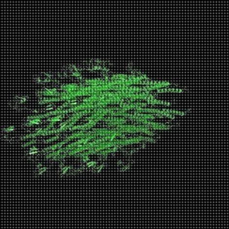 虚拟突变蛋白质关键功能位点活性位点标注分子动力学模拟DFT MS