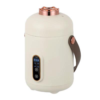 110v家电电饭煲电煮锅香港新加坡