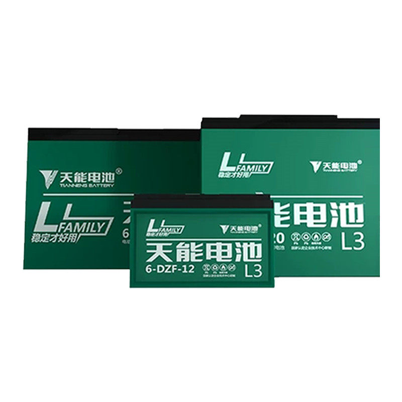 原装电动车电池全新天能