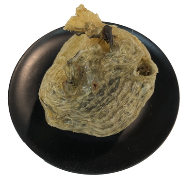 已拔刺刺龟皮无刺海胆刺豚鱼皮干
