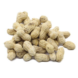 （25年当季）福建莆田特产农家花生仙游日晒 咸干水煮花生硬脆