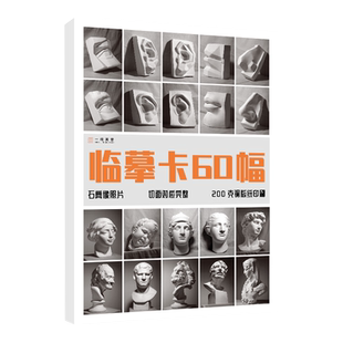 临摹卡石膏像照片 美术绘画写生参考素材图片美术培训教学60幅唯美文艺小清新精美卡片创意礼物原创作品学习卡片 一线美誉