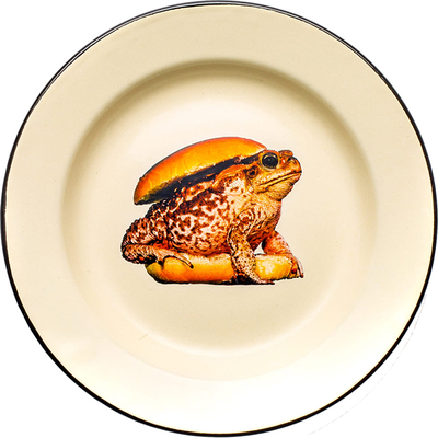 Selettiins风搪瓷盘子家用餐盘