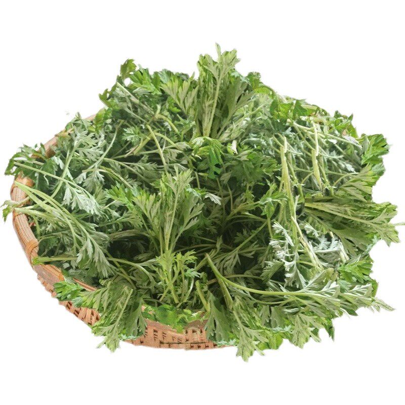 新鲜现榨艾草汁现摘鲜艾叶草泥青团清明果野生食用艾草粉艾草嫩芽