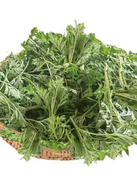 新鲜现榨艾草汁现摘鲜艾叶草泥青团清明果野生食用艾草粉艾草嫩芽
