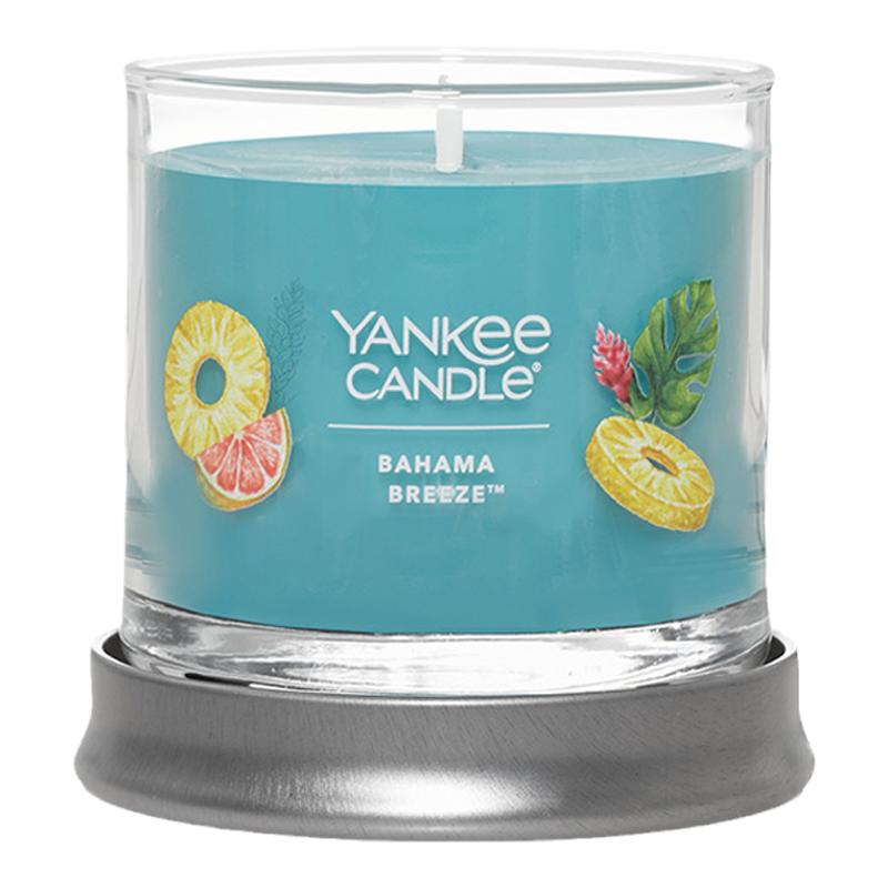 Yankee Candle美国扬基香薰蜡烛雅致手绘瓶杨基香氛卧室家居-微瑕