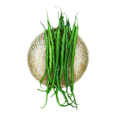 线椒苗高产二荆条苗辣椒苗南方种