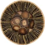 陈年化州橘红正宗李家园金装毛桔红片橘皮泡茶新品120g铁盒装包邮