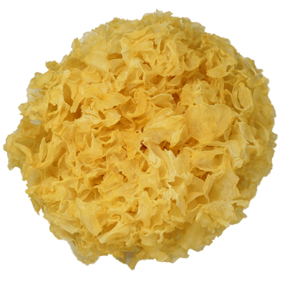 自家种植大朵银耳易煮软糯