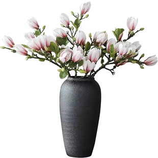 水培花卉白玉兰干枝带花苞鲜花植物室内鲜切好养型雪柳开盆栽