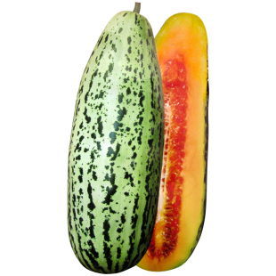 超甜酥蜜龙甜瓜种子早熟花皮牛角酥脆香甜瓜种籽羊角蜜水果种孑子