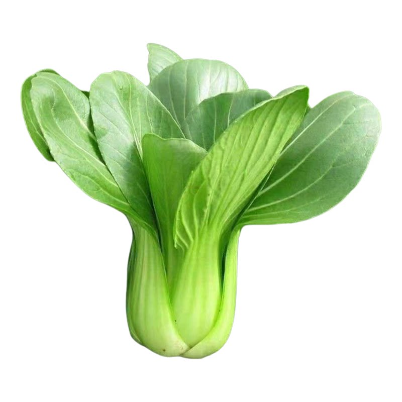 （顺丰冷链）新鲜上海青自家种植小青菜绿叶菜现摘现发蔬菜青菜