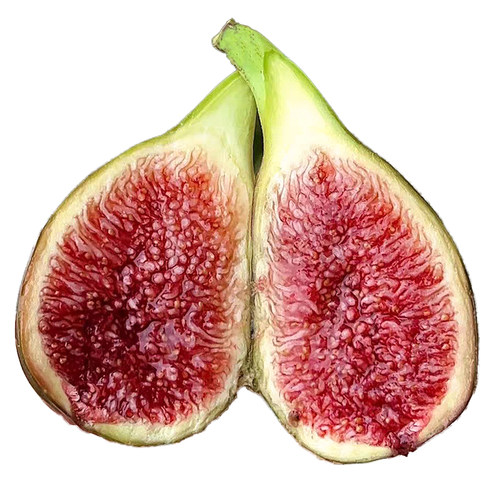 芭劳奈无花果 绿皮红肉大芭 芭劳耐无花果树苗盆栽地栽当年结果
