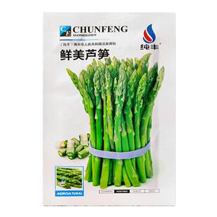 芦笋种孑种子苗根苗种根根种苗盆栽根苗籽带土蔬菜菜种籽蔬菜种子