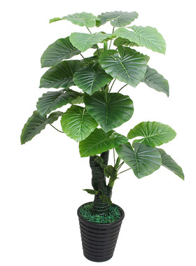仿真植物盆栽摆件客厅滴水观音