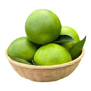 翡翠青柚福建青皮黄金葡萄柚新鲜纯甜多汁绿宝石香水柚孕妇水果柚