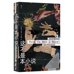 后浪正版现货 这不是本小说 及其他小说 戴维马克森著 便条卡名言引用信息流式文学 美国实验文学后现代小说外国文学书籍