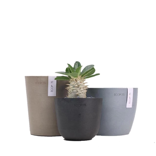 【朴原】潮流园艺系列花盆园艺植物块根植物专用实用潮酷炫酷花盆