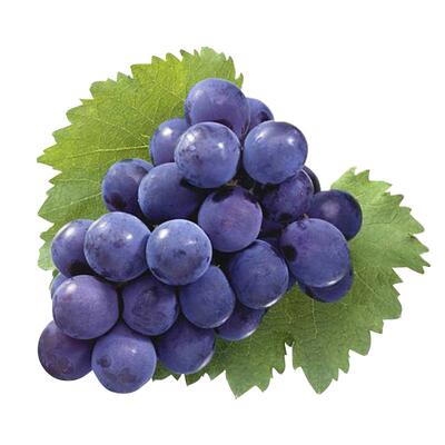 云南孕妇水果新鲜夏黑葡萄津果鲜