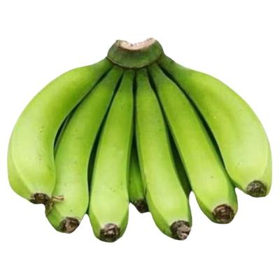 现摘现发海南绿皮香蕉自然熟
